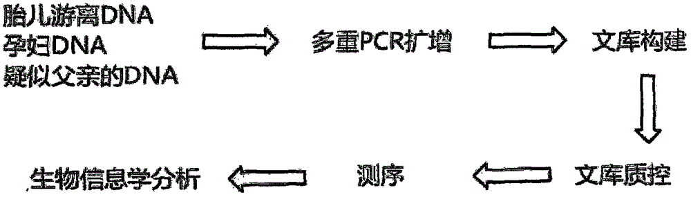 云南胎儿云南亲子鉴定流程图